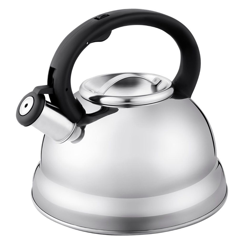 Чайник из нержавеющей стали "Linea Tea" 3л, д22,5см, h21см, со свистком, многослойное капсульное дно, нескользящая ручка, цветная коробка, "Regent" (Китай) Подходит для всех видов плит, включая индукционную