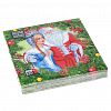 42387 - Салфетки бумажные "Bouquet Home Collection Classic" 33х33см, 3-х слойные, 20 штук в упаковке, 100% целлюлоза, "Дед Мороз и Снегурочка" (Россия)