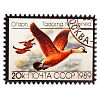  - Магнит керамический 6х8см "Почтовая марка" "Утка-Огарь" (Китай)