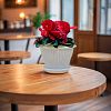 5PL0702 - Горшок для цветов пластмассовый "Гамма плюс" 1,6л, д17см, h12,5см, белый (Россия)