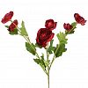 27815 - Цветок "Ранункулюс" цвет - бордовый, 66см, 6 цветков (Китай)