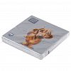 25588 - Салфетки бумажные "Bouquet Home Collection" 33х33см, 3-х слойные, 20 штук в упаковке, 100% целлюлоза, "Такса" (Россия)