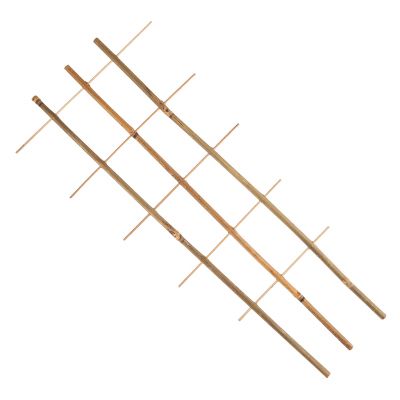 Поддержки для цветов