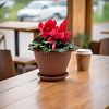 5PL0705 - Горшок для цветов пластмассовый "Гамма плюс" 1,6л, д17см, h12,5см, терракот (Россия)