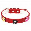  - "Пэт тойс (Pet toys)" Ошейник для собаки "Цветы" 1,9х45см, металлическая застежка, под кожу, с декором, на картоне, цвета в ассортименте: красный, синий, черный, коричневый (Китай)