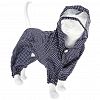 6081 - "Пэт тойс (Pet toys)" Одежда для собаки "Комбинезон" "Горошек" с капюшоном, прозрачный ПВХ козырек, на кнопках р-р L, длина спинки 30см/обхват груди 42см/обхват шеи 36см, цвет-темно-синий, плащевка (Китай)