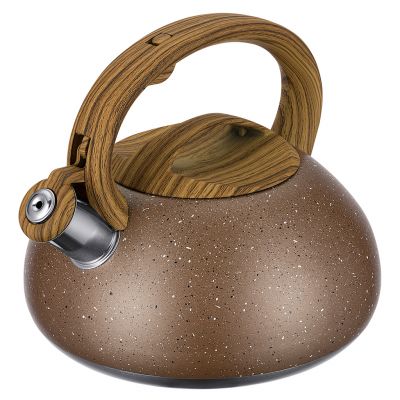 Чайник из нержавеющей стали "Linea Tea" 3л, д22см, h20,5см, со свистком, многослойное капсульное дно, нескользящая ручка, цветная коробка, "Regent" (Китай) Подходит для всех видов плит, включая индукционную