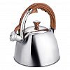 93-TEA-30.3 - Чайник из нержавеющей стали "Tea" 3л, д20,5см, со свистком, пластмассовая ручка с покрытием "soft-touch", цветная коробка, "Regent" (Китай) Подходит для всех видов плит, включая индукционную