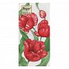 25601 - Салфетки бумажные "Bouquet Original de Luxe" 33х33см, 2-х слойные, 20 штук в упаковке, 100% целлюлоза, "Красные тюльпаны" (Россия)