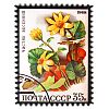  - Магнит керамический 6х8см "Почтовая марка" "Лютик" (Китай)