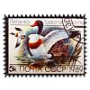 - Магнит керамический 6х8см "Почтовая марка" "Утка-Пеганка" (Китай)
