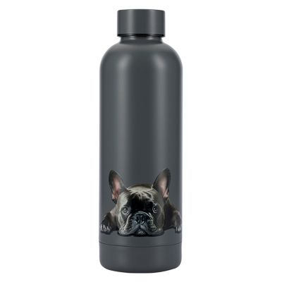 Термос из нержавеющей стали "Bottle" 0,5л, д8см, h24,5см, винтовая пробка из полипропилена, цветная коробка, "Regent" (Китай)