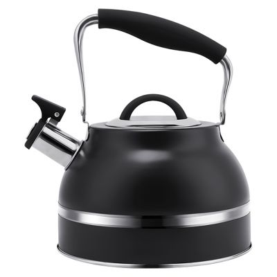 Чайник из нержавеющей стали "Linea Tea" 3л, д22см, h17см, со свистком, многослойное капсульное дно, нескользящая ручка, цветная коробка, "Regent" (Китай) Подходит для всех видов плит, включая индукционную