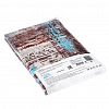 ПО-ЕМк - Пододеяльник на кнопках Евро Макси "Перспектива" 240х215см, поплин "Комфорт" 115г/м2, хлопок 100%, упаковка "классическая" ПВХ 28х41см, "Домашняя мода" (Россия)